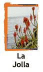lajolla1.GIF (6799 bytes)