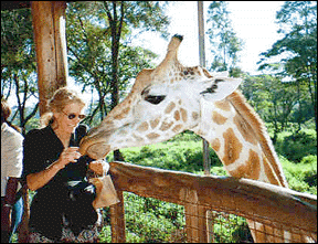 patty_giraffe.GIF (56370 bytes)